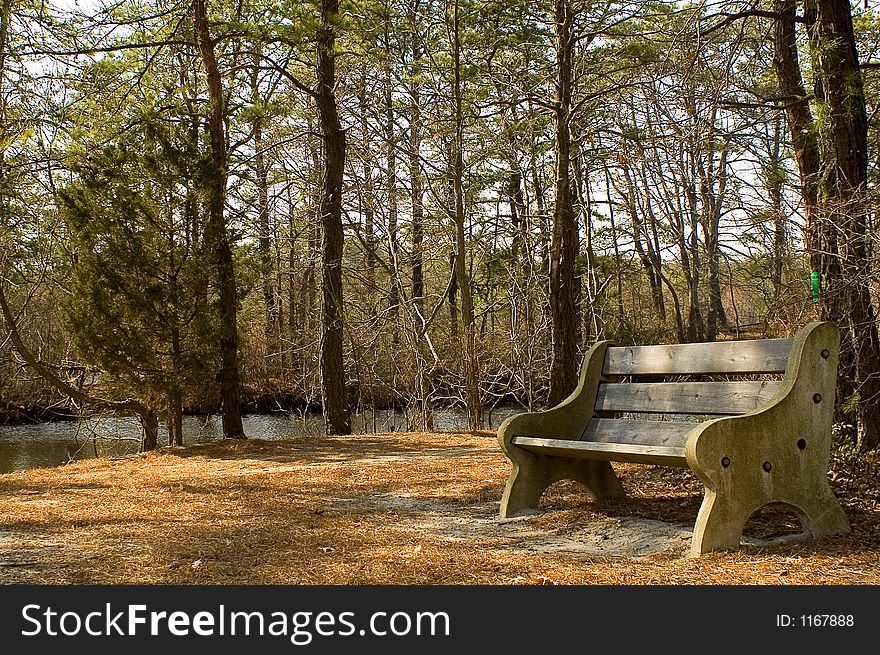 Empty park bench on a wooded path by a small lake. Empty park bench on a wooded path by a small lake