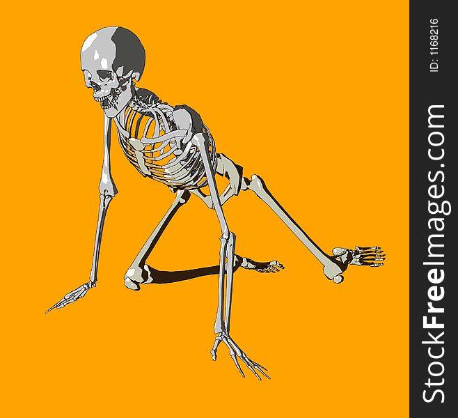 A illustrated skeleton in a pose. A illustrated skeleton in a pose.