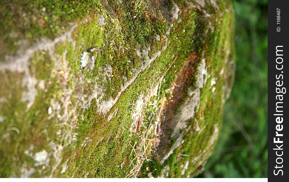 Creases and folds in a large boulder covered with moss. Creases and folds in a large boulder covered with moss