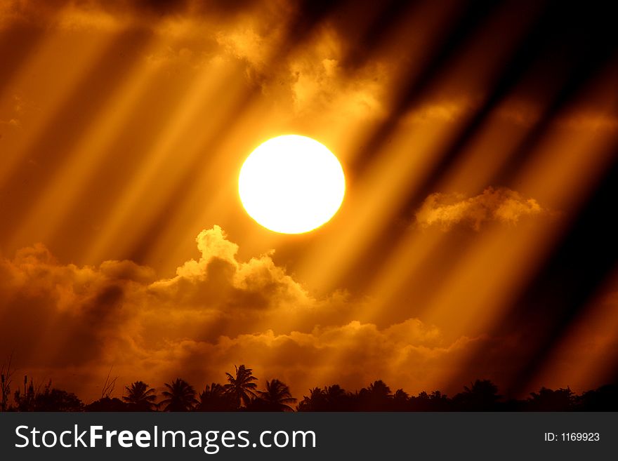 A sunset silhouette in barbados