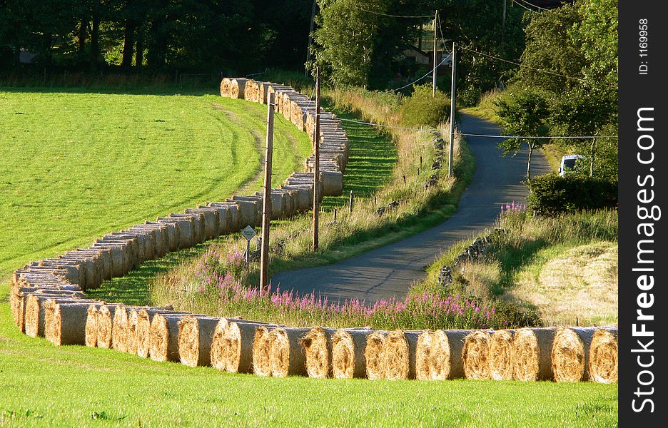 Round hay bales in a field beside a winding country road in sunlight. Round hay bales in a field beside a winding country road in sunlight