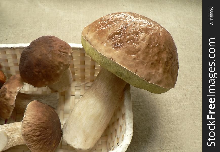Basket full of mushrooms. Isolated image. Basket full of mushrooms. Isolated image