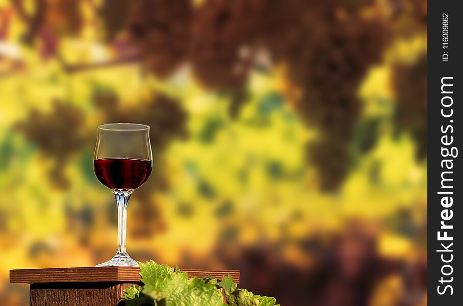 A glass of red wine standing on a wooden table on the vineyard background in a sunny autumn evening. A glass of red wine standing on a wooden table on the vineyard background in a sunny autumn evening