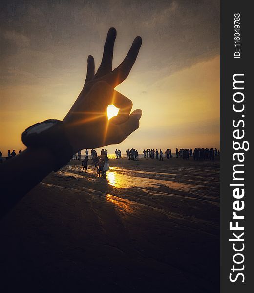 Silhouette Photography of People Near Body of Water