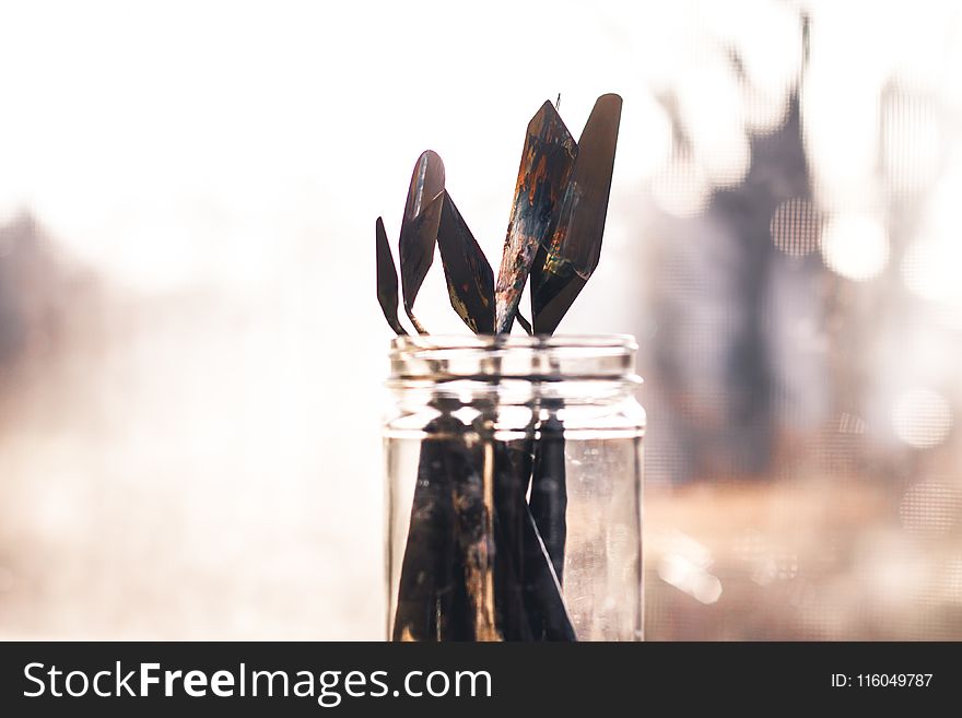Shallow Focus Photography of Clear Glass Jar