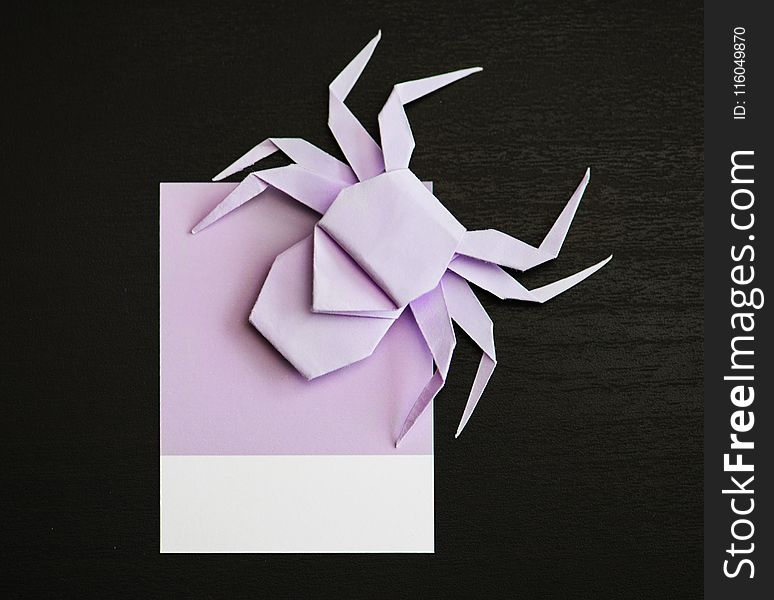 Purple Spider Design Origami