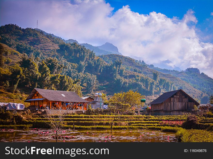 Houses Near Mountains Surrounded by Trees