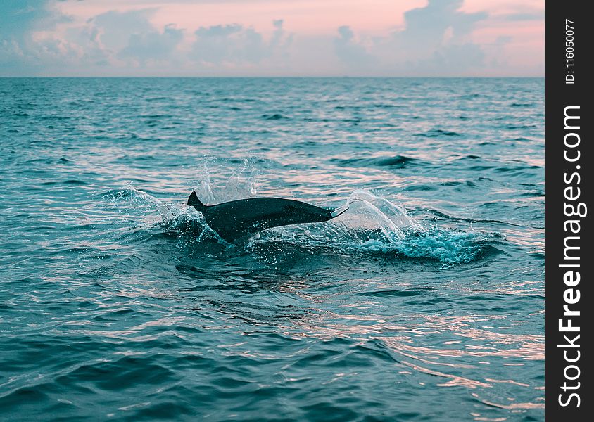 Photography Of Body Of Water