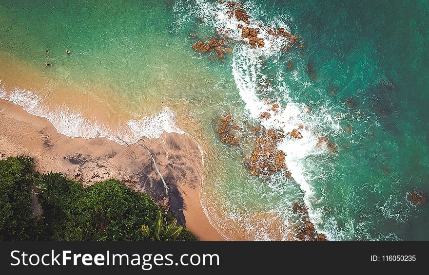 Aerial Photography of Beach