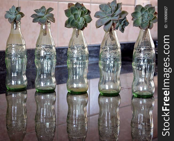 Bottle, Glass, Glass Bottle, Flowerpot