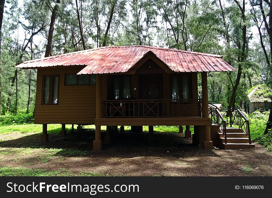 Property, Cottage, Log Cabin, House