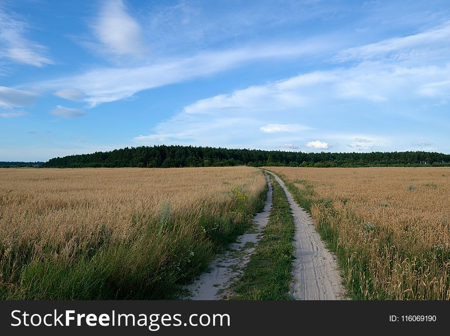 Sky, Road, Field, Grassland