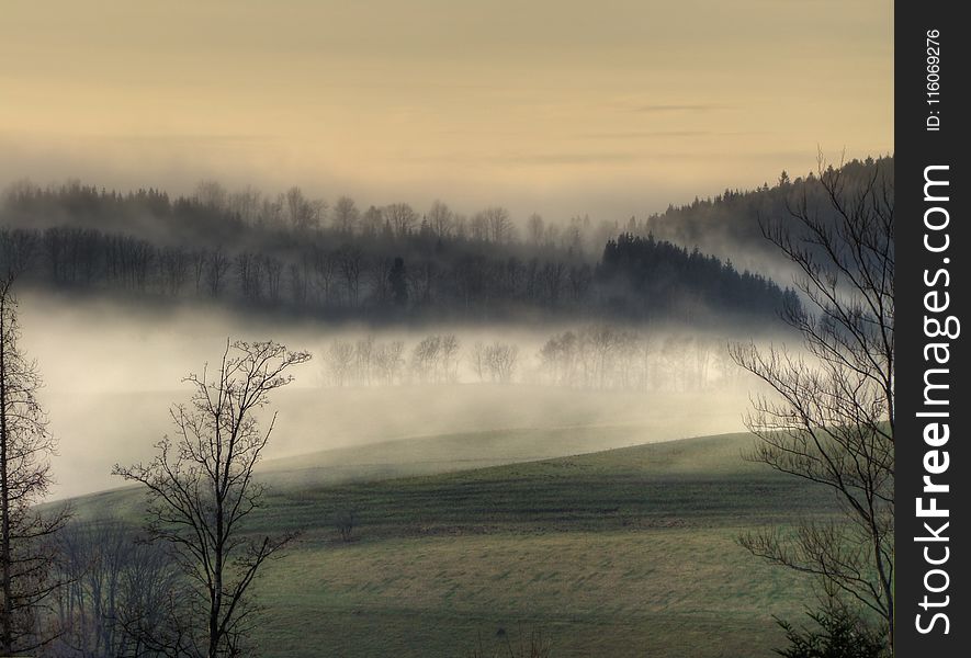 Mist, Sky, Fog, Dawn