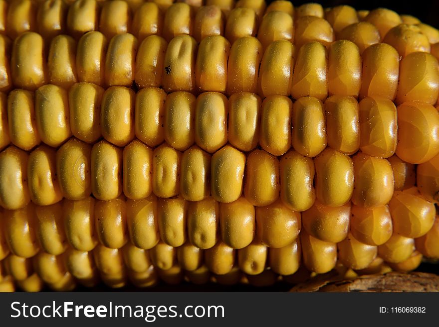 Corn Kernels, Sweet Corn, Corn On The Cob, Vegetarian Food