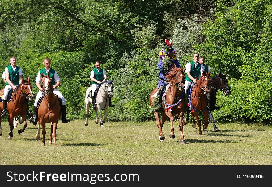 Endurance Riding, Trail Riding, Equestrianism, Horse