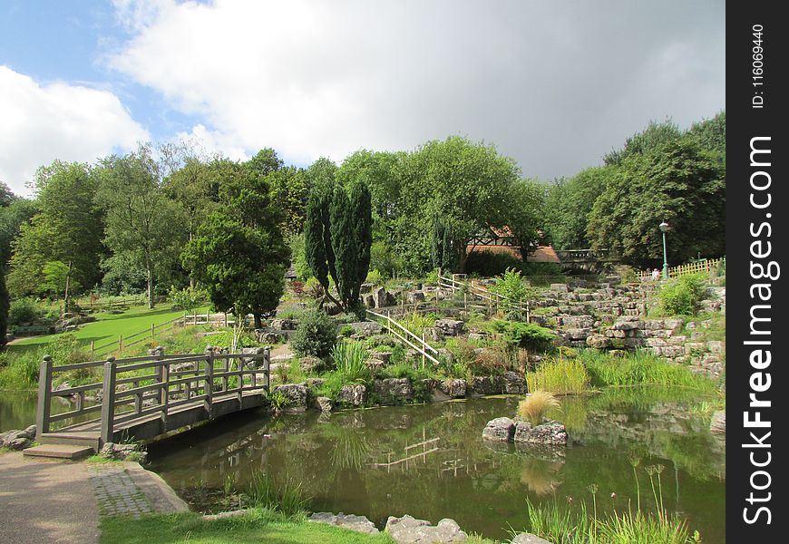 Botanical Garden, Garden, Vegetation, Nature Reserve