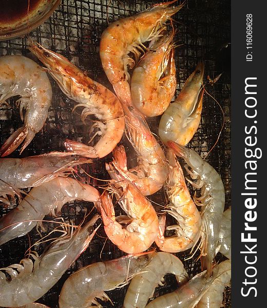 Shrimp, Seafood, Dendrobranchiata, Caridean Shrimp