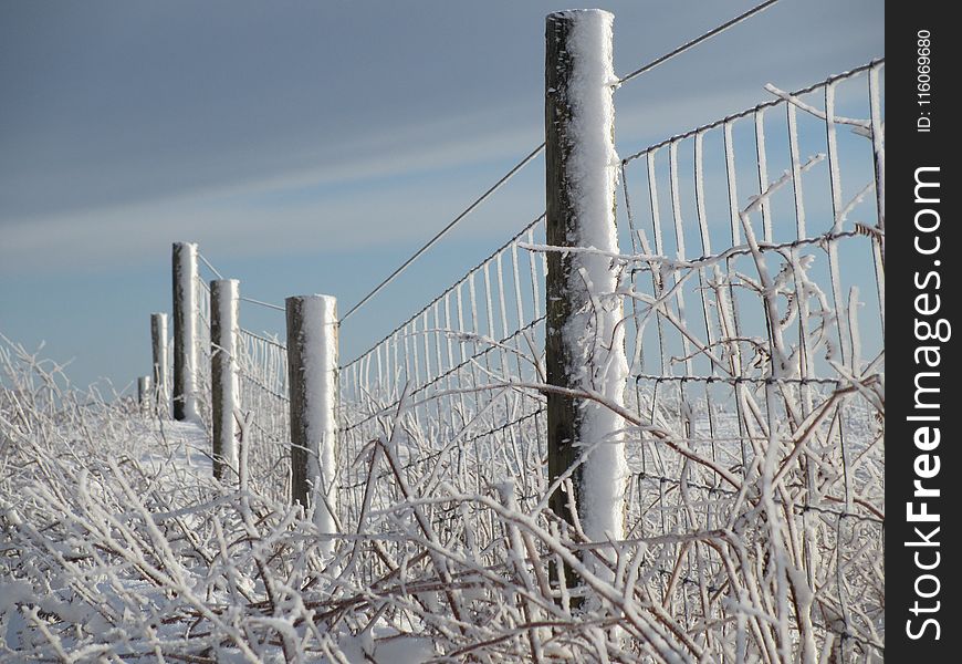 Wire Fencing, Winter, Frost, Snow