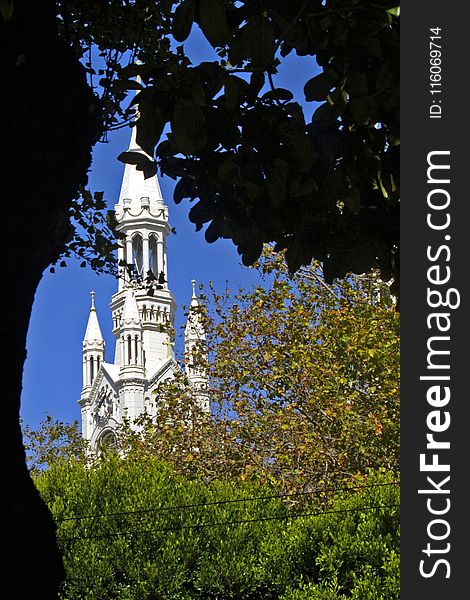 Sky, Nature, Landmark, Tree