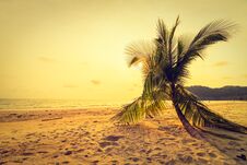 Beautiful Tropical Beach And Sea With Coconut Palm Tree In Paradise Island Stock Photos Beautiful Tropical Beach And Sea With Coconut Palm Tree In Paradise Island Stock Photos