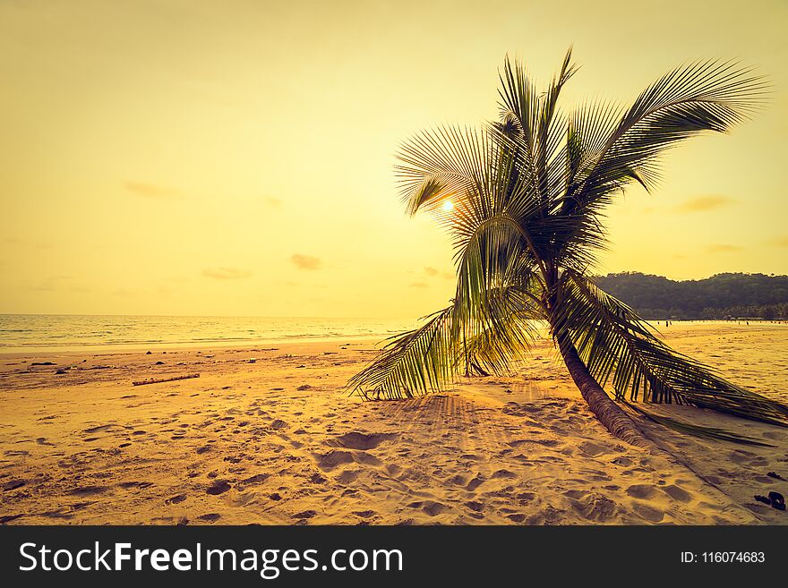 Beautiful tropical beach and sea with coconut palm tree in paradise island