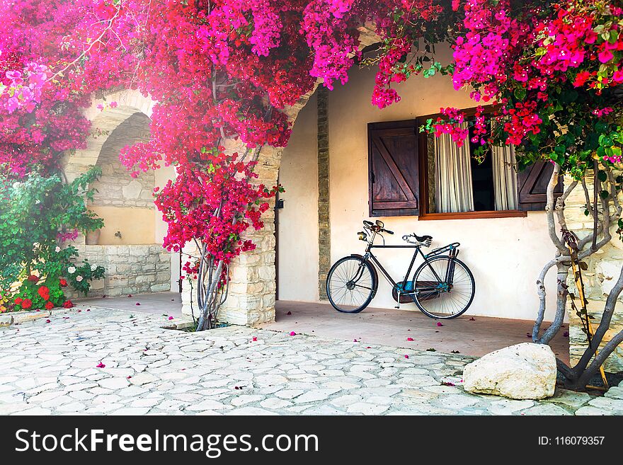 Blooming purple tree and old bike - ideas for garden decoration