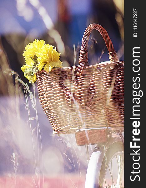 Brown Wicker Basket and Yellow Flowers