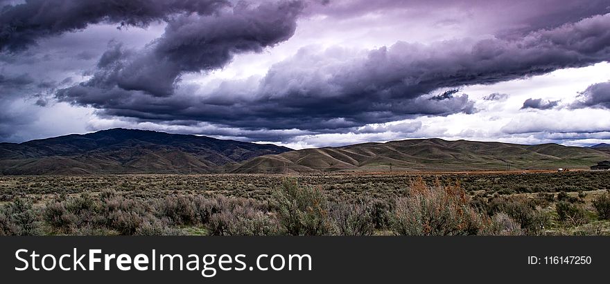 Green Bushes Overlooking Mountain Under White And Grey Cloudy Daytime Sky