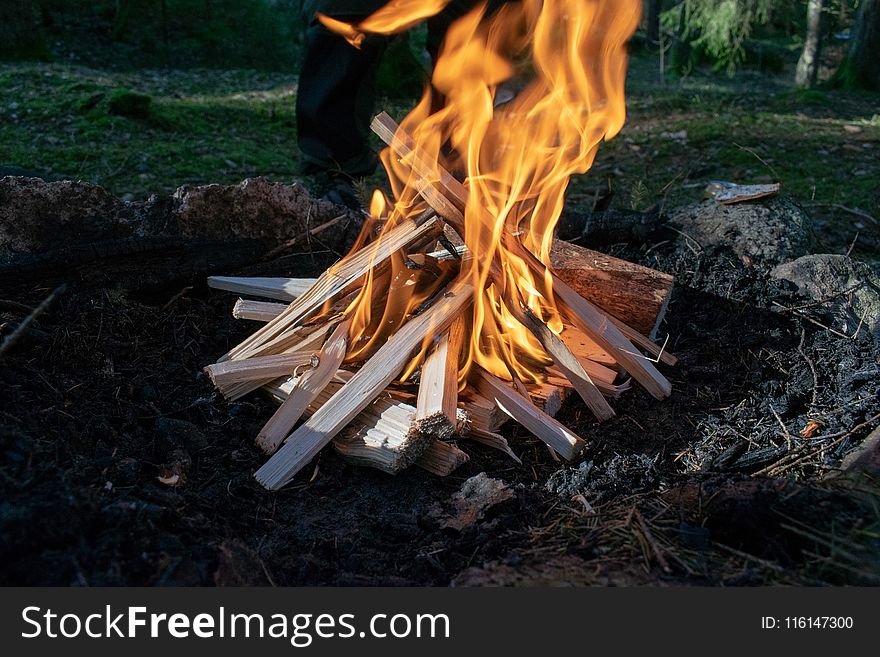 Photo of Burning Woods on Firepit