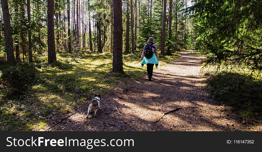 Woman Wearing Black Backpack Walking on the Forest With Her Dog