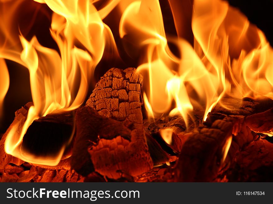 Firewoods on Fire