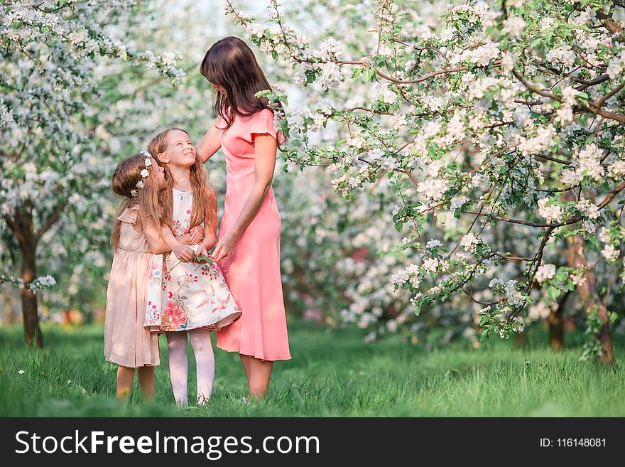 Family In Blooming Apple Garden Outdoors