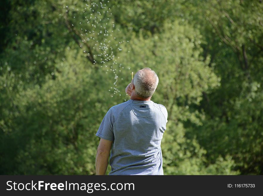 Green, Man, Tree, Nature