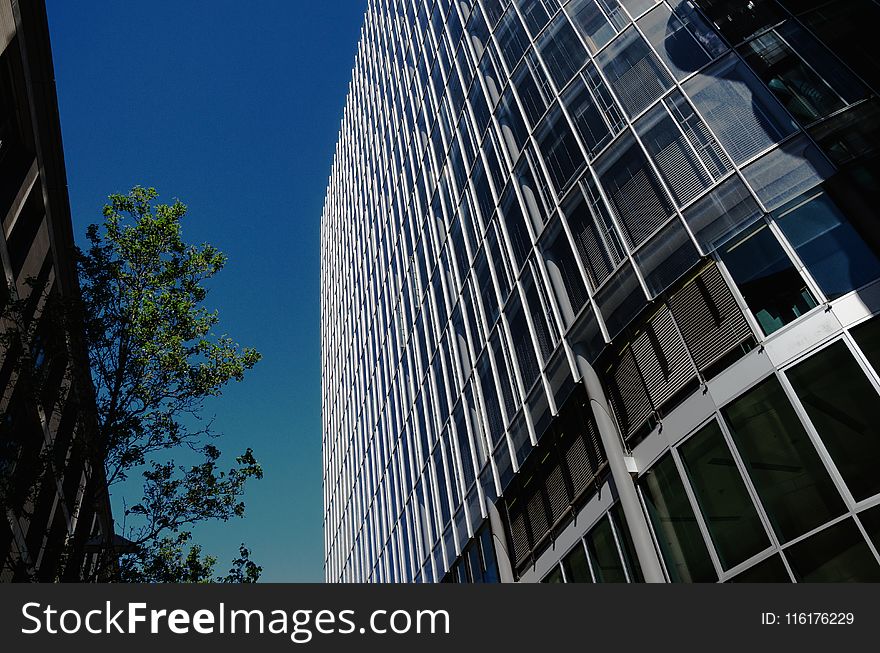 Building, Skyscraper, Metropolitan Area, Landmark