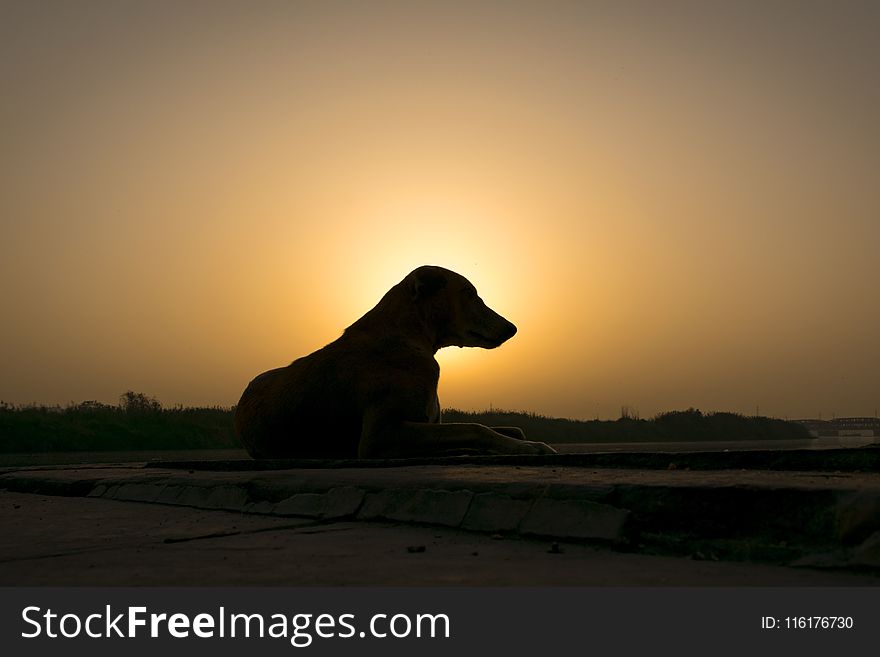 Sunrise, Sky, Silhouette, Morning