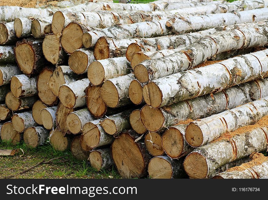 Wood, Lumber, Tree, Trunk