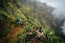 Female Traveler Staying On The Cove Volcano Edge Above The Foggy Green Valley Overgrown With Agaves Santo Antao Island Royalty Free Stock Photography
