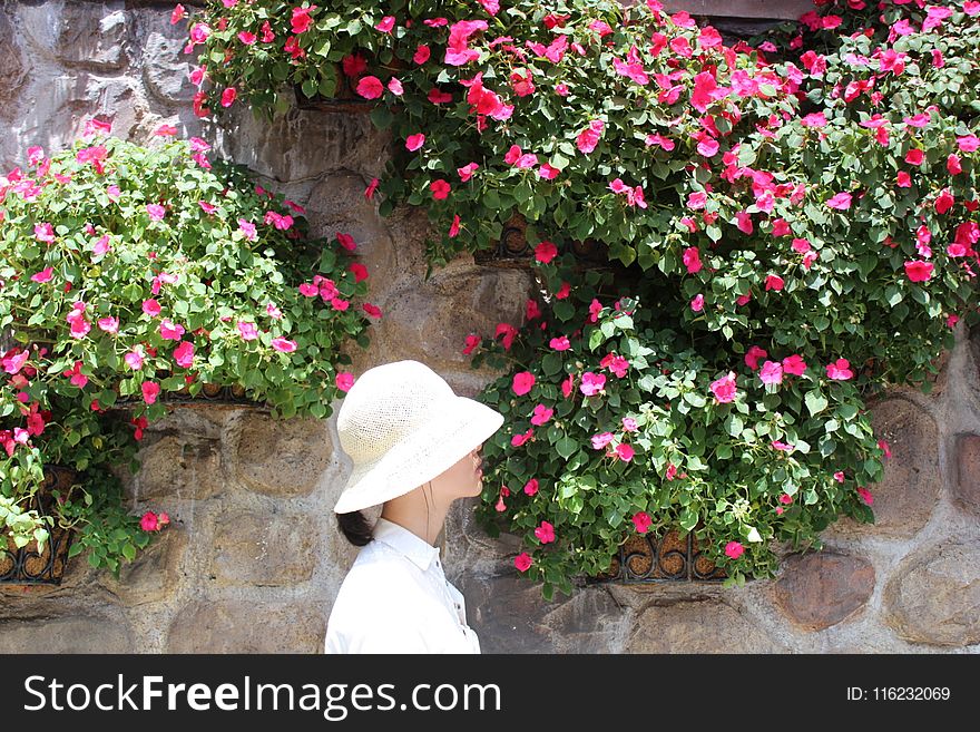 Woman Wearing White Bucket Hat With White Top Beside Pink Petaled Flower at Daytime