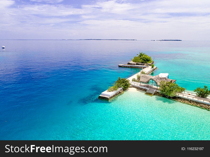 High Angle View Photo of White Dock With Trees on Seashore