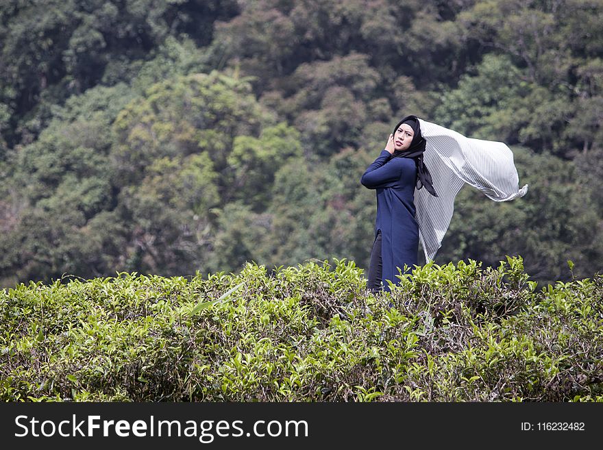 Woman In Blue Dress Surround By Green Leafed Plants