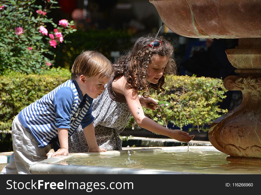 Water, Fun, Plant, Girl