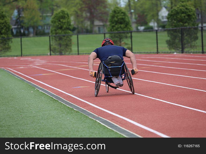 Sports, Athletics, Wheelchair Sports, Sport Venue