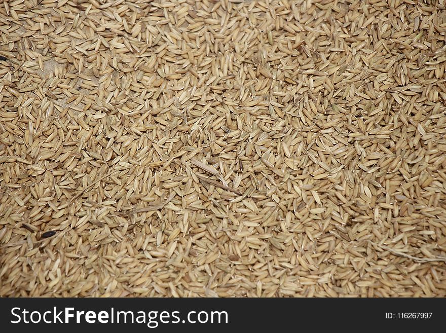 Food Grain, Whole Grain, Grain, Husk