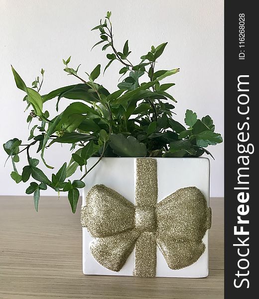 Flowerpot, Plant, Leaf, Vase