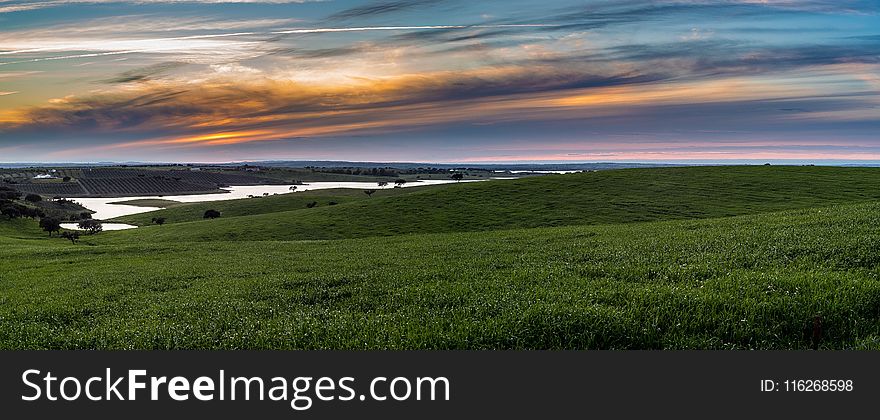 Sky, Grassland, Field, Horizon