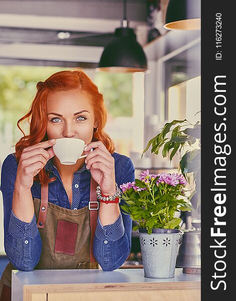 Portrait of redhead female barista in a small coffee shop.