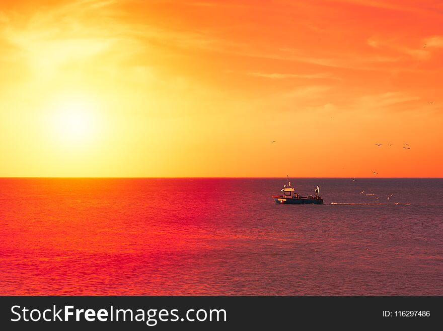 Trawler back at sunset with seagulls