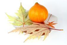 Small Pumpkin And Maple Leaves Royalty Free Stock Image