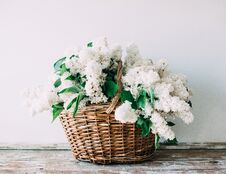Bouquet Of Fresh White Lilac Flowers In Wicker Basket On Wooden Stock Photography