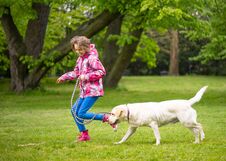Girl With Labrador Retriever Dog Stock Images